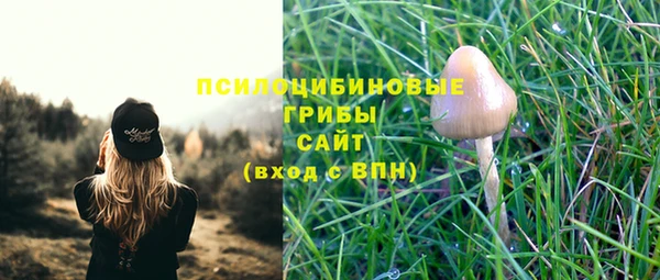 прущая мука Богданович