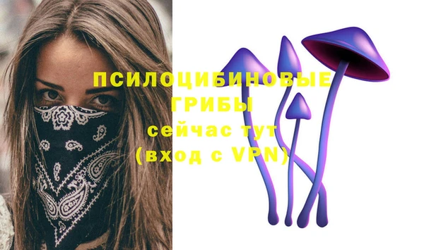 прущая мука Богданович