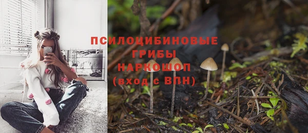 мескалин Богородск