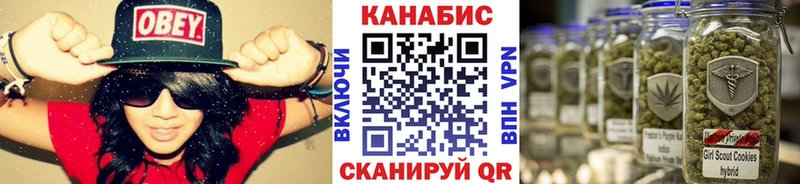 Канабис планчик  блэк спрут маркетплейс  Химки 